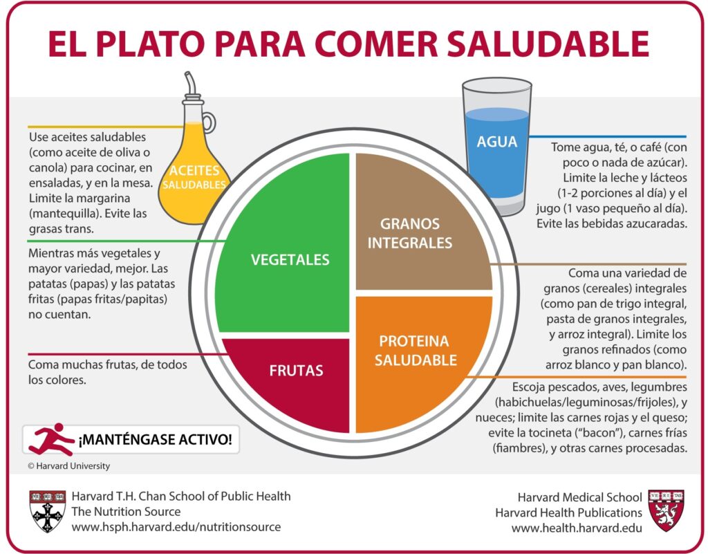 La alimentación de los niños